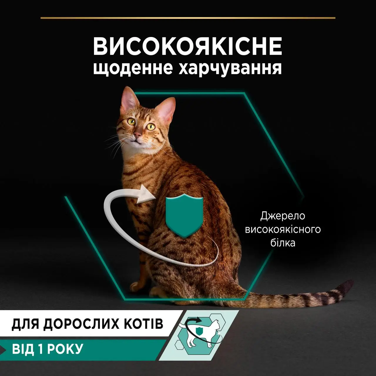 ProPlan консерви для кішок з куркою 85г*24шт4