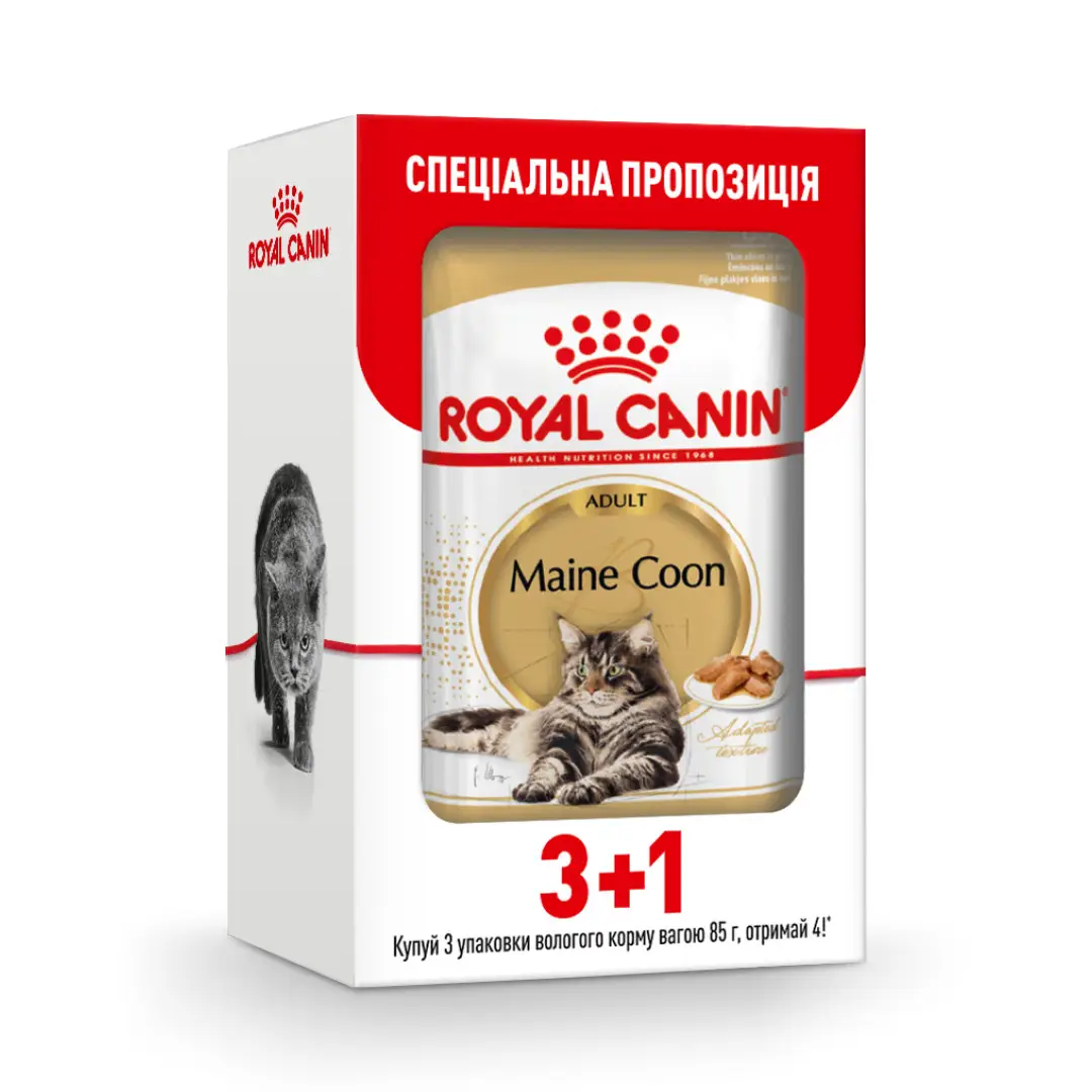 Royal Canin Maine Coon (шматочки в соусі) 85г*4шт-паучі для кішок породи мейн-кун1