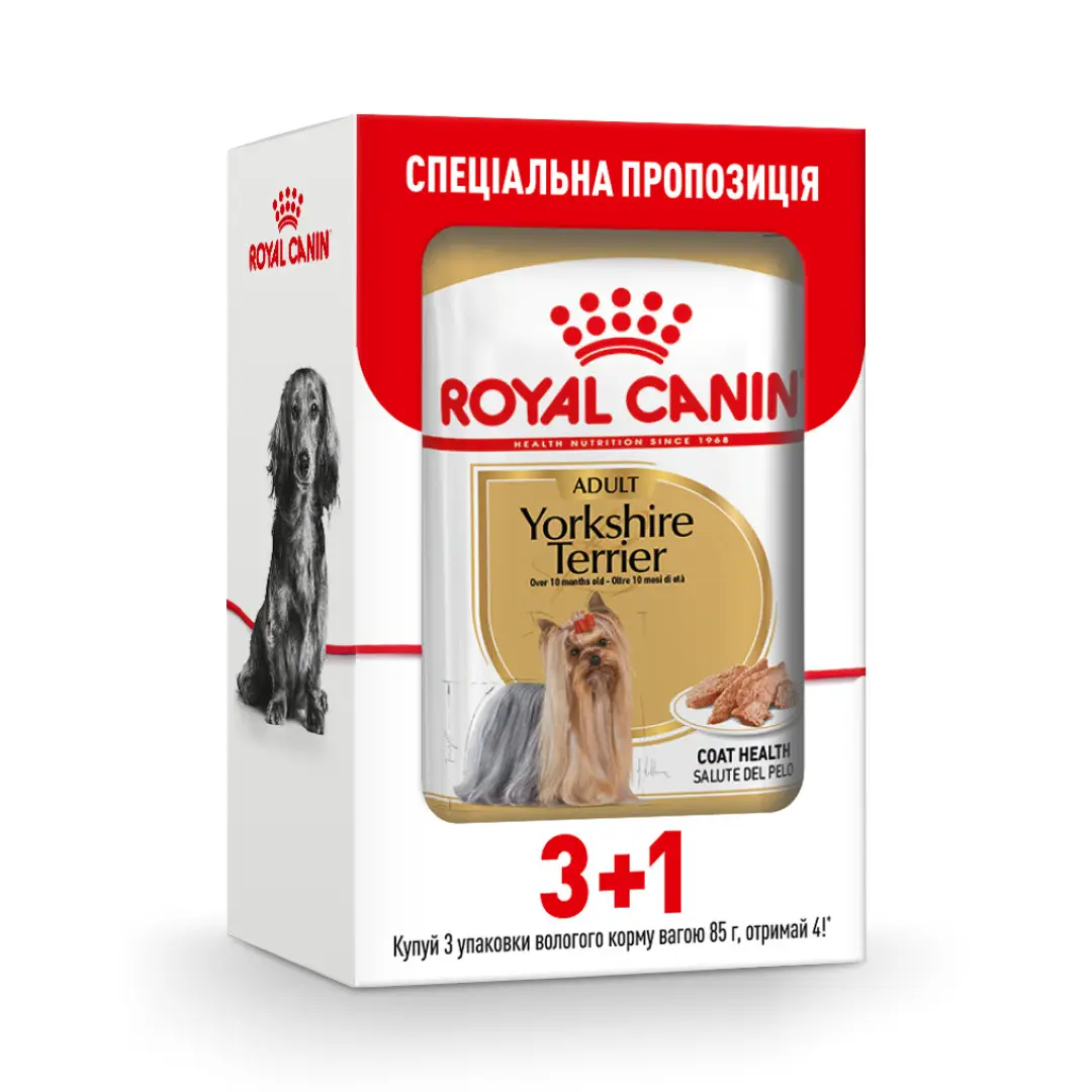 Royal Canin Yorkshire Terrier 85г * 4шт паштет для йоркширських тер'єрів1