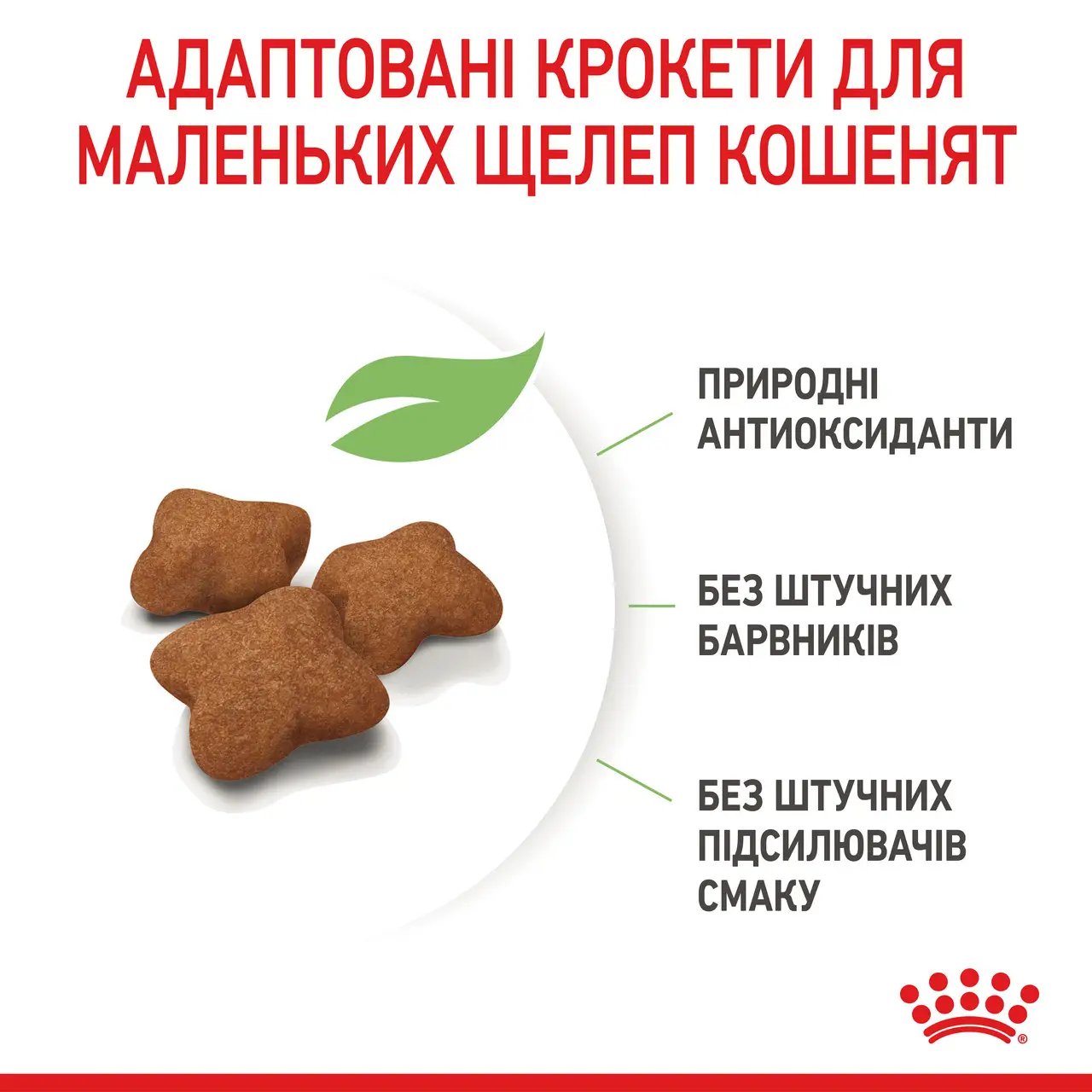 Royal Canin Kitten Sterilised 2кг в подарунок для стерилізованих кошенят6