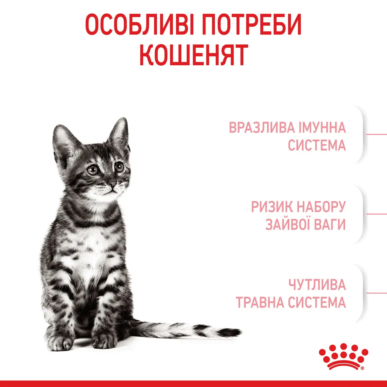 Royal Canin Kitten Sterilised 2кг в подарунок для стерилізованих кошенят4