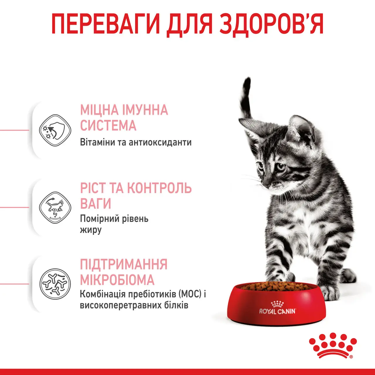 Royal Canin Kitten Sterilised 2кг в подарунок для стерилізованих кошенят5