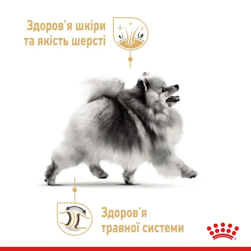 Royal Canin Pomeranian 1,5 кг + 4 пауча для собак породи помірський шпіц3