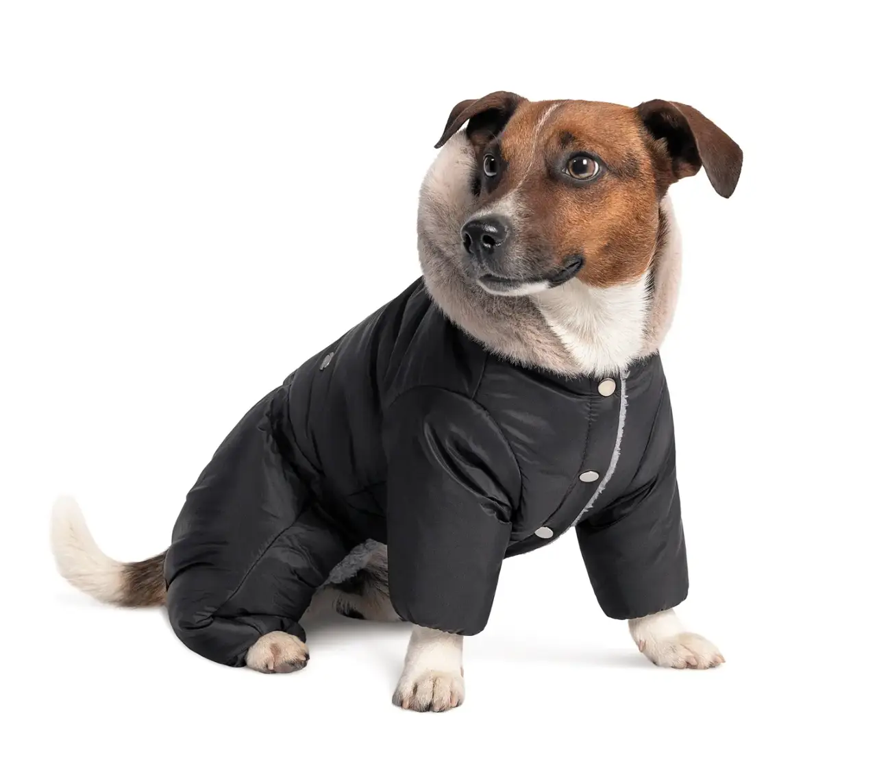 Pet Fashion костюм Black XXS для собак1