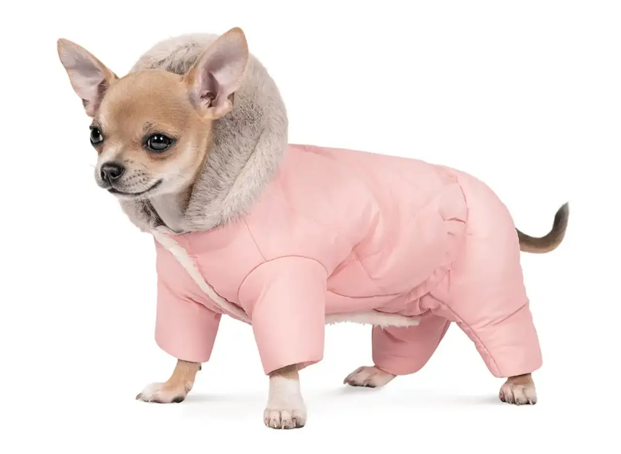Pet Fashion костюм JUDY XS для собак1