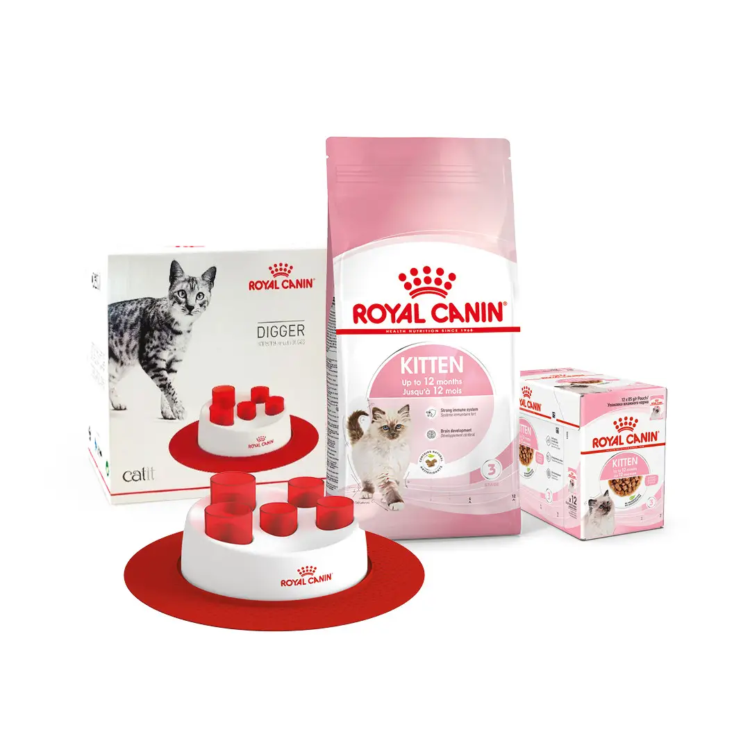 Royal Canin Kitten 2 кг - корм для кошенят від 4 до 12 місяців + 12 паучів + іграшка1