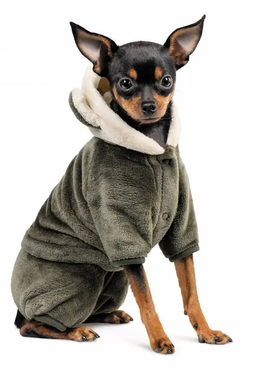 Pet Fashion Alf костюм для собак S (27-29 см)1