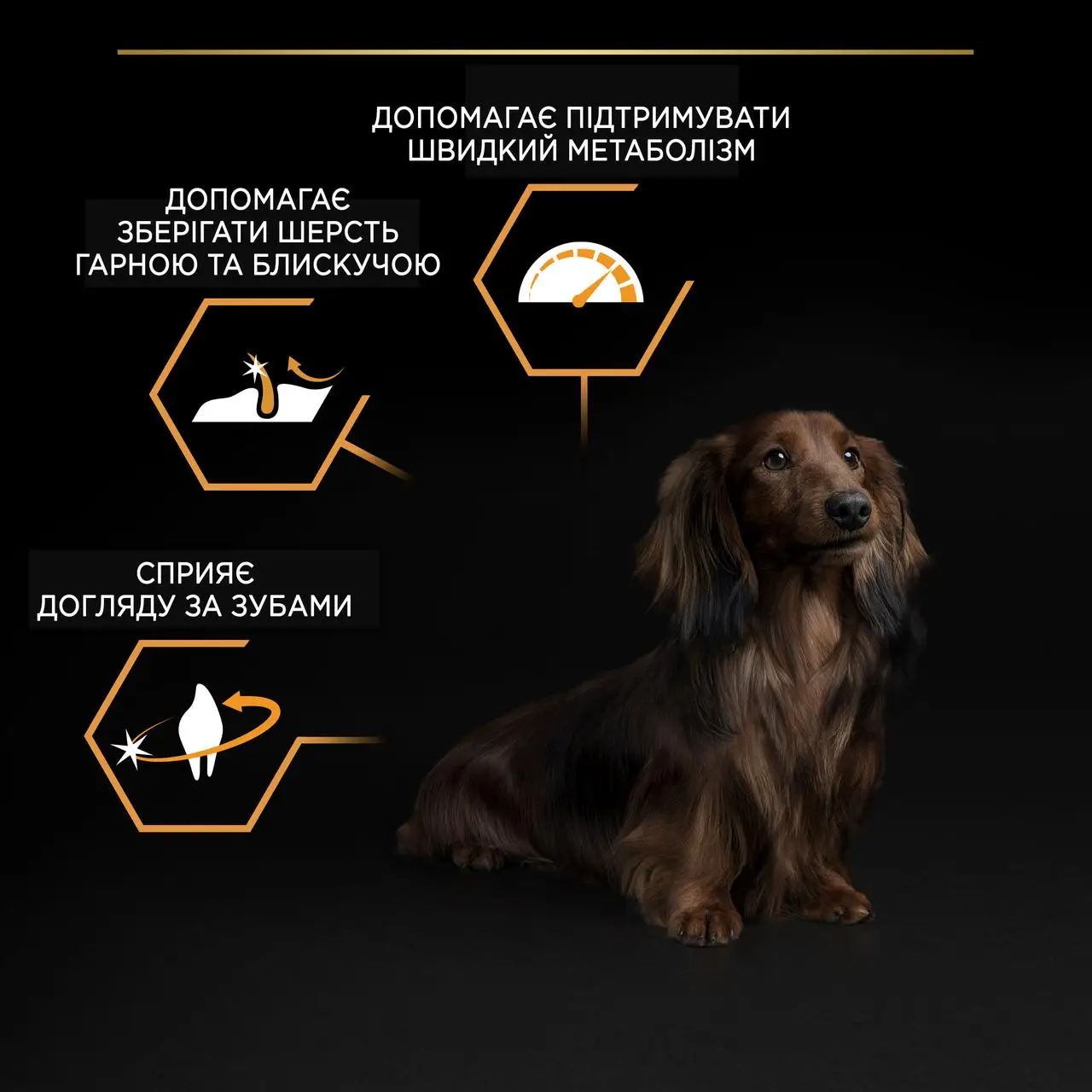 Purina Pro Plan Adult Small and Mini Optibalance 0,7 кг - для собак дрібних порід з куркою6