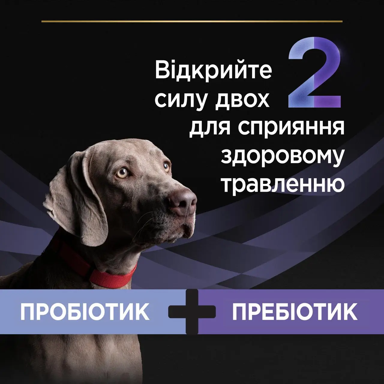 Pro Plan FortiFlora Plus пробіотик з пребіотиком для собак та цуценят (30шт)3