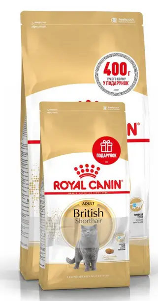 Royal Canin British shorthair 2кг + 400г - корм для кішок породи британська короткошерста1