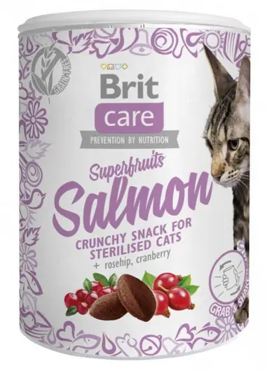 Brit Care Cat Snack Superfruits Salmon ласощі для котів 100 г (лосось)1