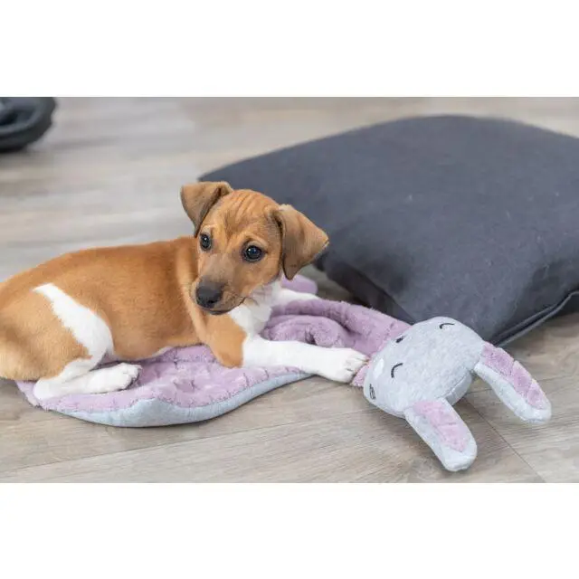 Trixie TX-38242 Junior одеяло для собак 55 х 40 см ( плюш )3