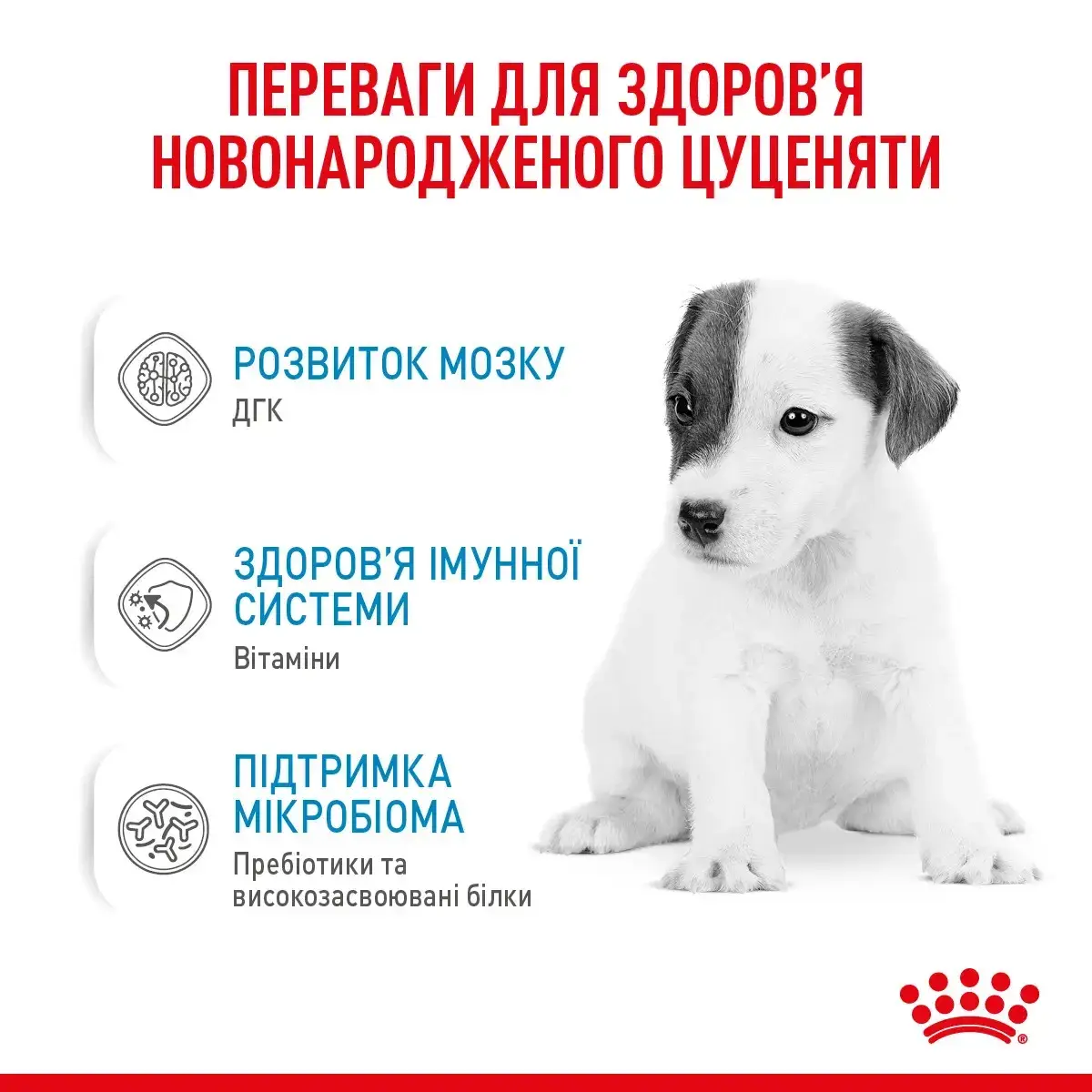 Royal Canin Babydog Milk 2 кг заменитель молока для щенков с рождения до отъема3