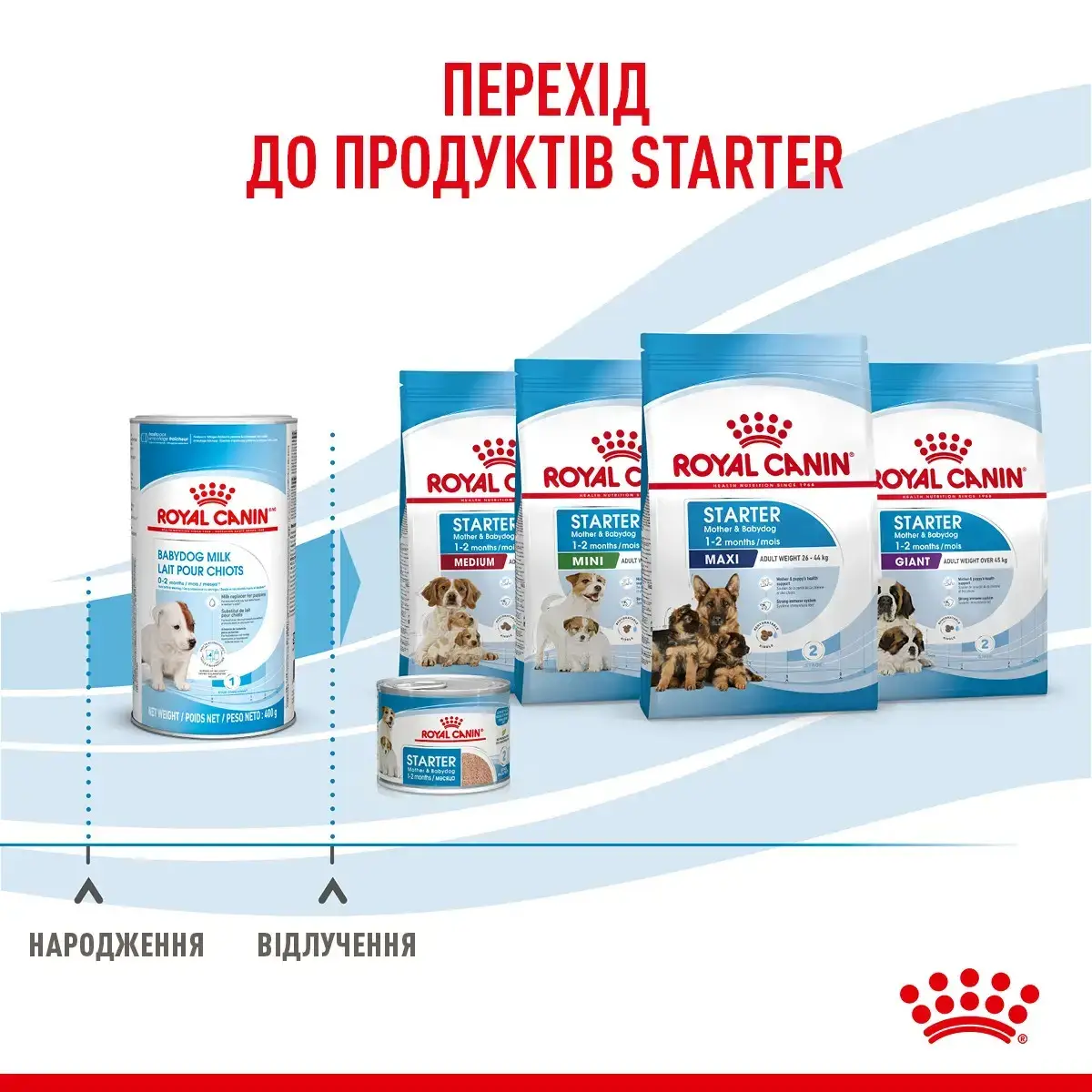Royal Canin Babydog Milk 2 кг заменитель молока для щенков с рождения до отъема7