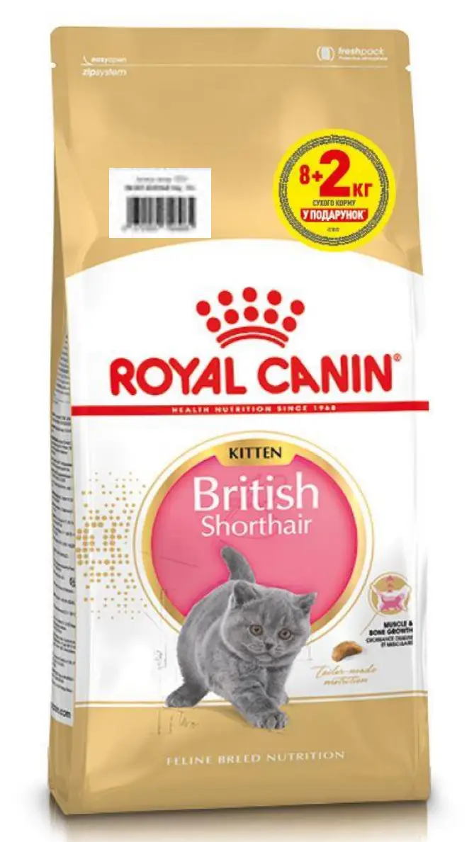 Royal Canin Kitten British Shorthair 10кг - корм для кошенят британської короткошерстої кішки1