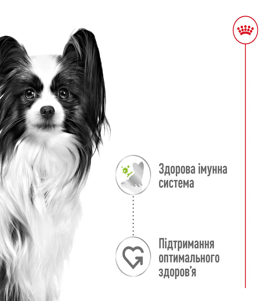 Royal Canin X-Small Adult паучі для собак мініатюрних розмірів 85г*12шт2