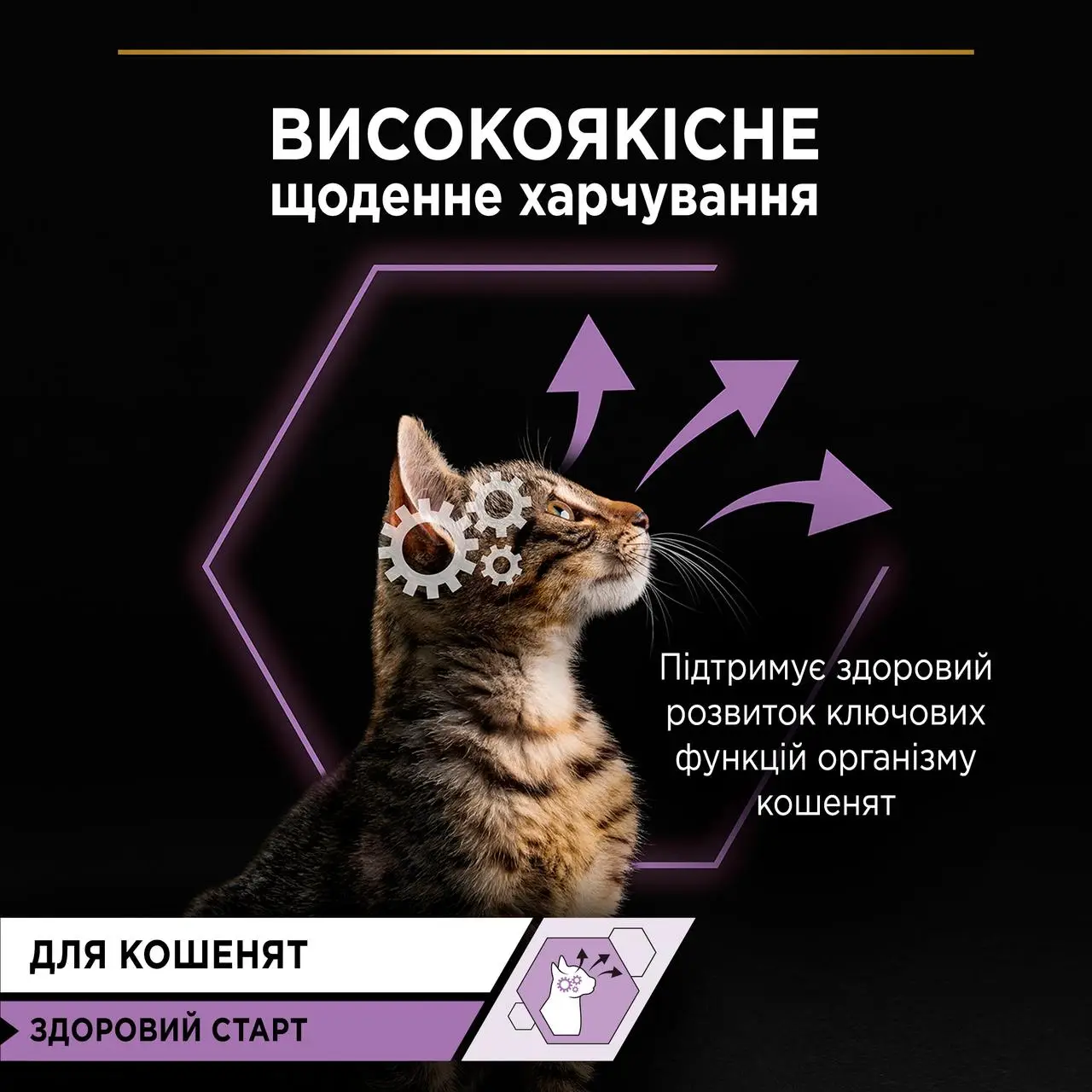 Purina Pro Plan Kitten 85г пауч для кошенят6