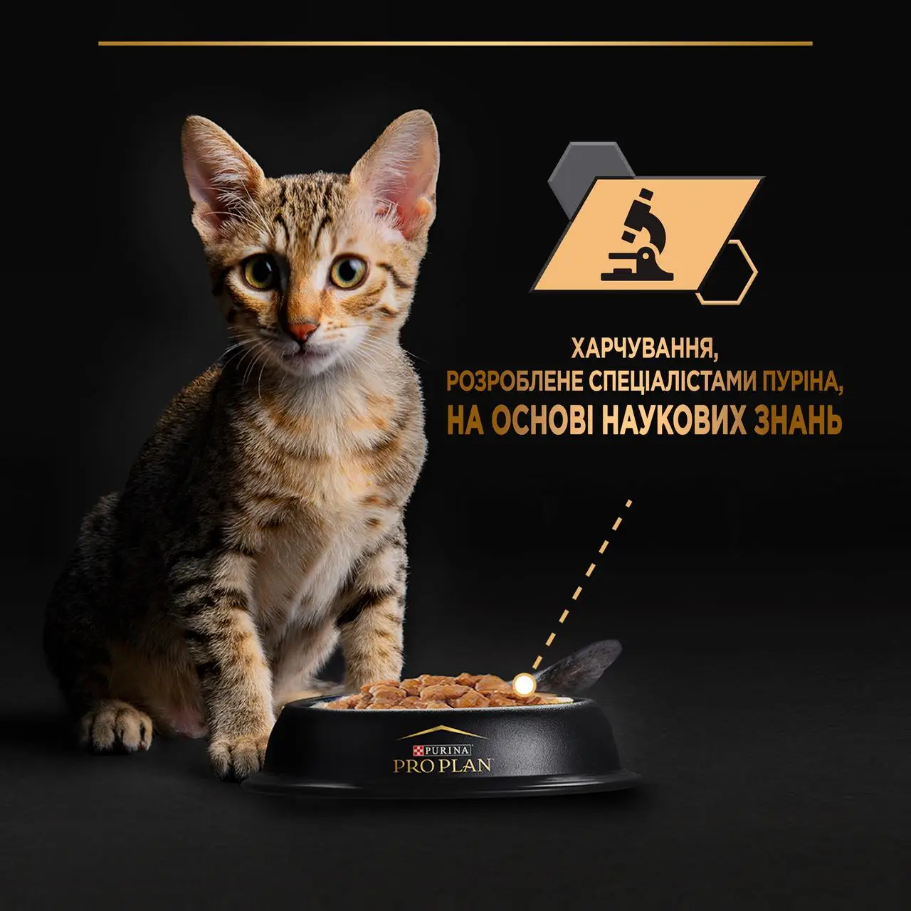 Purina Pro Plan Kitten 85г пауч для кошенят4