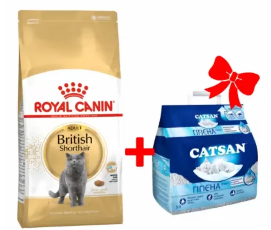 Royal Canin British shorthair 4кг для кішок породи британська короткошерста1