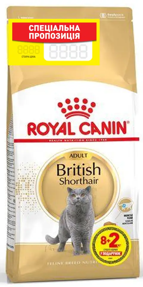 Royal Canin British shorthair 10кг - корм для дорослих кішок породи британська короткошерста1