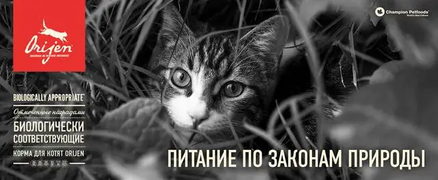 Orijen (Канада) супер преміум корм для котів