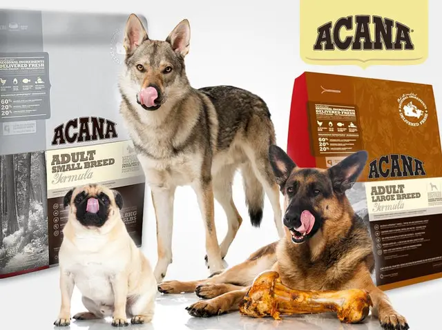 Acana (Канада) корм для собак та цуценят супер-преміум класу