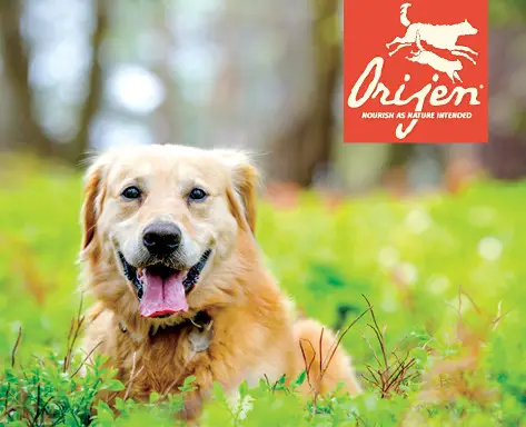 Orijen (Канада) корм для собак та цуценят