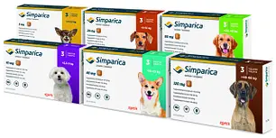 Simparica жувальна таблетка (Zoetis,США)